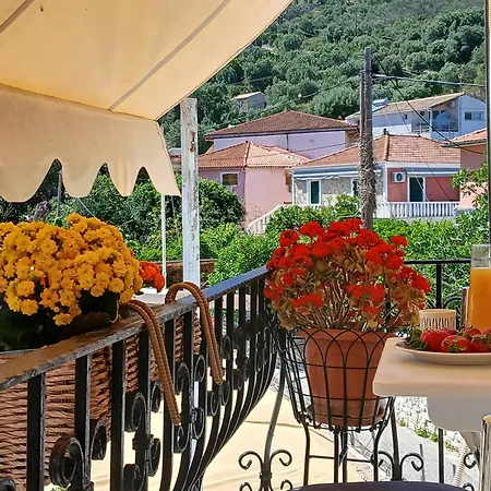 Sandra's Nest Paxos *